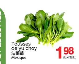 T&T Supermarket POUSSES DE YU CHOY offer