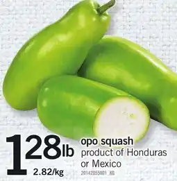Loblaws Opo squash offer