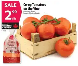 Co-op Co-op Tomatoes on the Vine offer