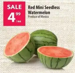 Co-op Red mini seedless watermelon offer