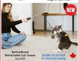 Ren’s Pets Depot BeOneBreed Retractable Cat Teaser offer