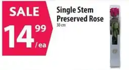 Co-op Single Stem Preserved Rose offer