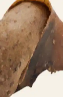 Petvalu Rollover Beef with Pumpkin Stuffed Hooves offer