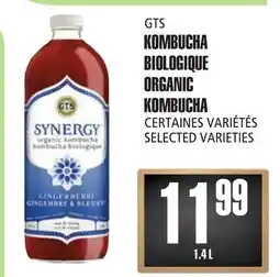 Marches Tau KOMBUCHA BIOLOGIQUE GTS offer