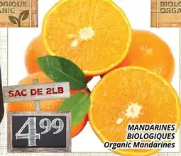 Supermarché PA MANDARINES BIOLOGIQUES | Organic Mandarines offer