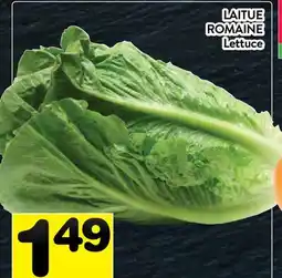 Supermarché PA LAITUE ROMAINE | Lettuce offer