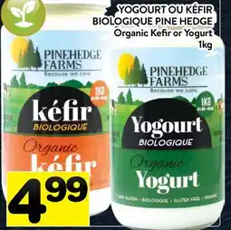 Supermarché PA YOGOURT OU KÉFIR BIOLOGIQUE PINE HEDGE | Organic Kefir or Yogurt offer