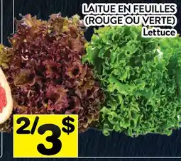 Supermarché PA LAITUE EN FEUILLES | Lettuce offer