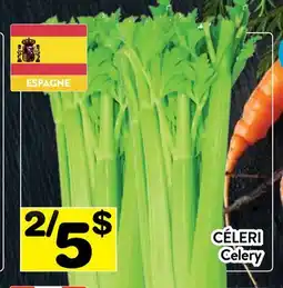 Supermarché PA CÉLERI | Celery offer