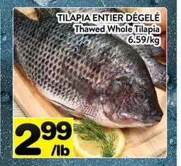Supermarché PA TILAPIA ENTIER DÉGELÉ | Thawed Whole Tilapia offer