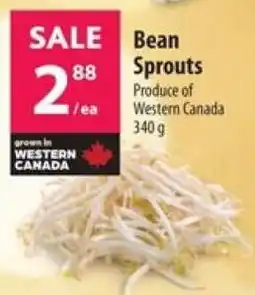 Co-op Bean sprouts offer