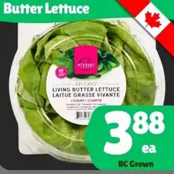 The Old Farm Market Butter Lettuce offer