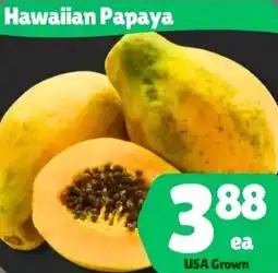 The Old Farm Market Hawaiian Papaya offer