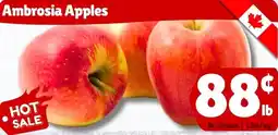 The Old Farm Market Ambrosia Apples offer