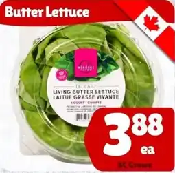 The Old Farm Market Butter Lettuce offer