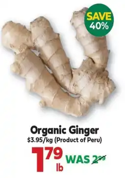 Iqbal Foods Organic Ginger offer