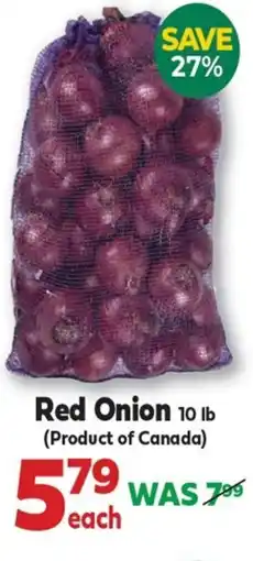 Iqbal Foods Red Onion offer