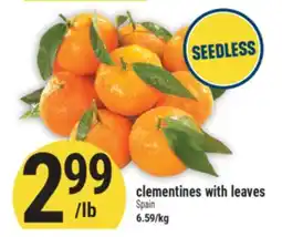 Marché Adonis Clementines with leaves offer