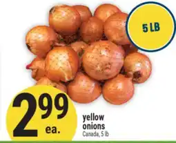 Marché Adonis Yellow onions offer