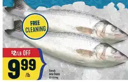 Marché Adonis Fresh sea bass offer