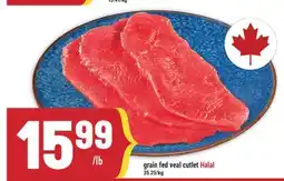 Marché Adonis Grain fed veal cutlet Halal offer
