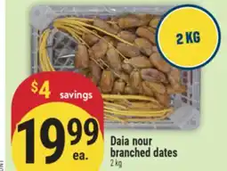 Marché Adonis Daia nour branched dates offer