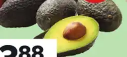 Giant Tiger 5 pack avocados offer