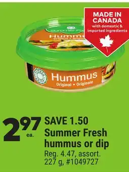 Giant Tiger Summer Fresh hummus or dip offer