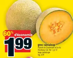 Super C gros cantaloup | large cantaloupe offer