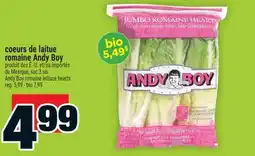 Super C Coeurs de laitue romaine Andy Boy | Andy Boy romaine lettuce hearts offer