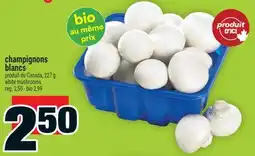 Super C champignons blancs | white mushrooms offer