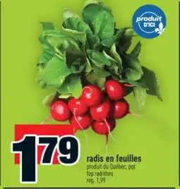 Super C radis en feuilles | top radishes offer