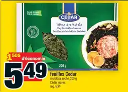 Super C feuilles Cedar | Cedar leaves offer