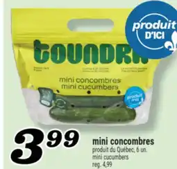 Marché Richelieu MINI CONCOMBRES | MINI CUCUMBERS offer