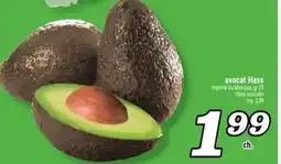 Marché Richelieu Avocat Hass | Hass avocado offer