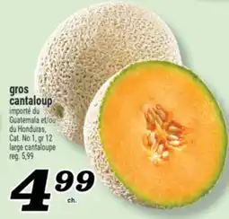 Marché Richelieu GROS CANTALOUP | LARGE CANTALOUPE offer