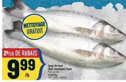 Marché Adonis LOUP DE MER (BAR COMMUN) FRAIS | FRESH SEA BASS offer