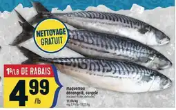 Marché Adonis MAQUEREAU DÉCONGELÉ, SURGELÉ | MACKEREL FROZEN, DEFROSTED offer