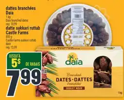 Marché Adonis dattes branchées Daia | Daia branched dates offer