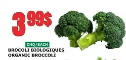Marches Tau BROCOLI BIOLOGIQUES offer
