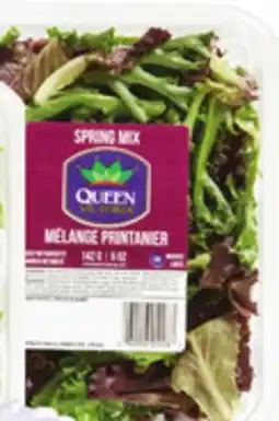 Giant Tiger spring mix offer
