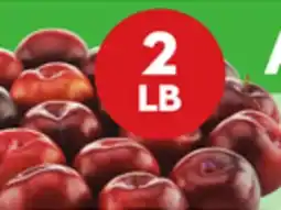 Giant Tiger 2 lb plums offer