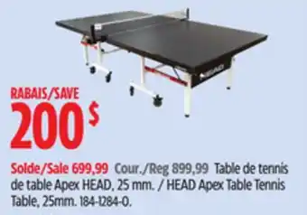 Canadian Tire HEAD Apex Table Tennis Table offer