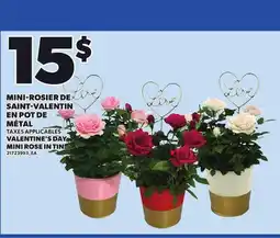 Provigo VALENTINE'S DAY MINI ROSE IN TIN offer