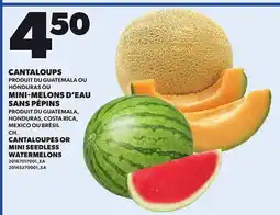 Provigo CANTALOUPES OR MINI SEEDLESS WATERMELONS offer