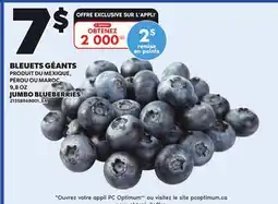 Provigo JUMBO BLUEBERRIES, 9,8 OZ offer