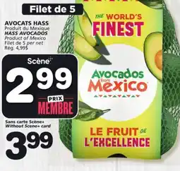 Marches Tradition HASS AVOCADOS offer