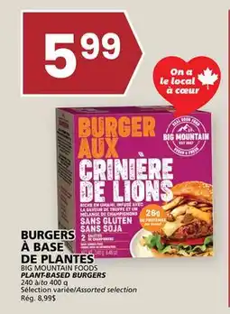 Rachelle-Bery Grocery BIG MOUNTAIN FOODS PLANT-BASED BURGERS offer