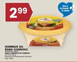 Rachelle-Bery Grocery FONTAINE SANTÉ BABA GANNOUJ OR HUMMUS offer