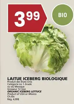 Rachelle-Bery Grocery ORGANIC ICEBERG LETTUCE offer